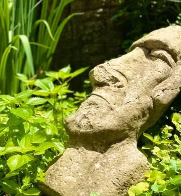 A weathered stone face among the ferns